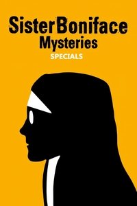 Épisodes spéciaux poster
