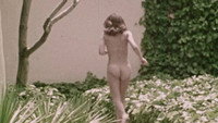 «Supercharger (1971)» — обои к фильму #4