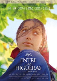 poster_Entre las higueras