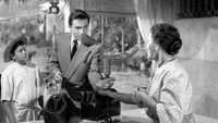 «Дорога с односторонним движением (1950)» — обои к фильму #9