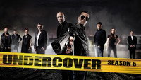 «Под прикрытием (2011-2016)» — обои к сериалу #10