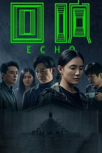 回响 (2023)