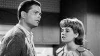 «Шоу Пэтти Дьюк (1963-1966)» — обои к сериалу #1
