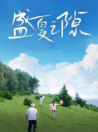 Poster de 盛夏之隙