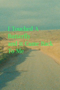 Poster de I Touched A Butterfly and It Came Back to Me