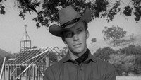 Обои к фильму «Незнакомец у моей двери (1956)» — (11 из 20)
