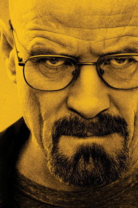 Постер сериала «Во все тяжкие (2008-2013)» — (26 из 185)