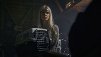«Эвтанайзер (2017)» — обои к фильму #5