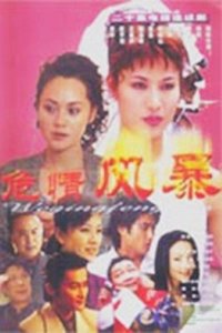Poster de 危情风暴