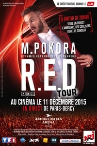 Matt Pokora -  Red Tour (2015)