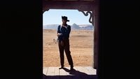 The Searchers