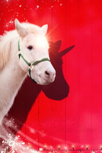 Постер фильма «A Unicorn for Christmas (2021)» — (6 из 11)