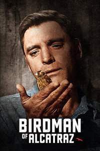 Постер фильма «Любитель птиц из Алькатраса (1962)» — (10 из 24)