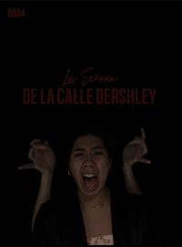 The Lady of Dershely Street Poster