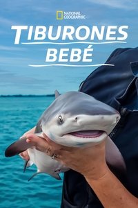 Tiburones bebé