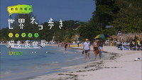 Jamaica