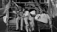«Невероятно, но факт (2017)» — обои к фильму #1