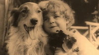 «Собачья любовь (1914)» — обои к фильму #1