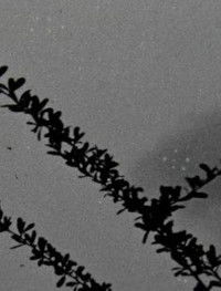 Imagem do Filme Les choses qui résistent à l'épreuve du temps