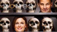 Обои к сериалу «Кости (2005 - 2017)» — (1 из 181)