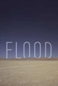 Flood (2012)