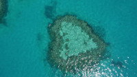 «The Great Barrier Reef (2018)» — обои к фильму #2