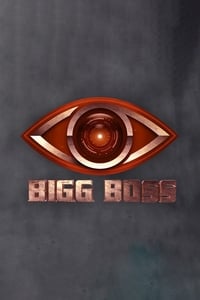 Bigg Boss Telugu - 2017