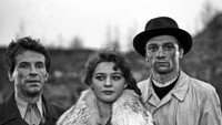 «Пилюли для Аурелии (1958)» — обои к фильму #10