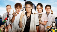 «Ветеринар Дулиттл (2010)» — обои к сериалу #2