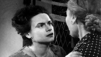 «Thanasakis, o politevomenos (1954)» — обои к фильму #6