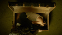 «Amandine (2019)» — обои к фильму #1