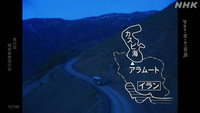 Valley of the killer sect