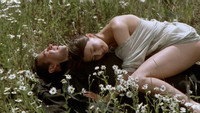 «Дьявольское образование (1994)» — обои к фильму #3