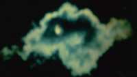 «The Cat of the Worm's Green Realm (1997)» — обои к фильму #1