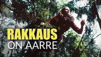 «Rakkaus on aarre (2002)» — обои к фильму #1