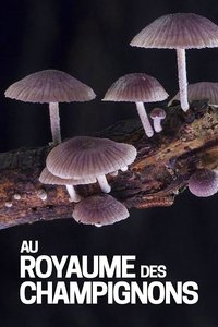 Poster de Au royaume des champignons