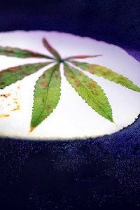 Постер сериала «Cooked with Cannabis (2020)» — (2 из 4)