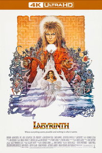 Постер фильма «Лабиринт (2009)» — (48 из 168)