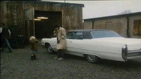 «Den frusna leoparden (1986)» — обои к фильму #1