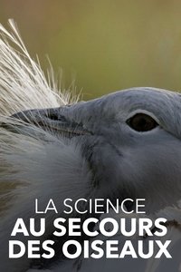 Poster de La Science au secours des oiseaux : Opération outarde