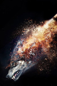 Постер сериала «Волк (2018)» — (1 из 11)