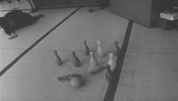 Minamata: The Victims and Their World