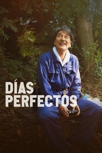 Poster de Días Perfectos