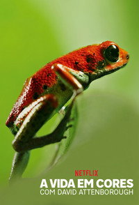 A Vida em Cores com David Attenborough S01E03