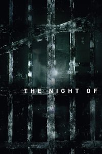The Night Of S01E04