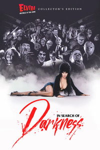 Постер фильма «В поисках тьмы (2019)» — (6 из 15)