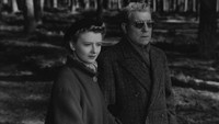 «Ночь — мое царство (1951)» — обои к фильму #1