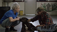 «MBF: Man's Best Friend (2019)» — обои к фильму #1