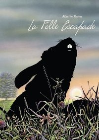 Poster de La folle escapade