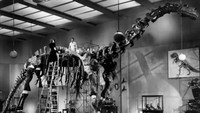 Обои к фильму «Воспитание Крошки (1938)» — (25 из 85)